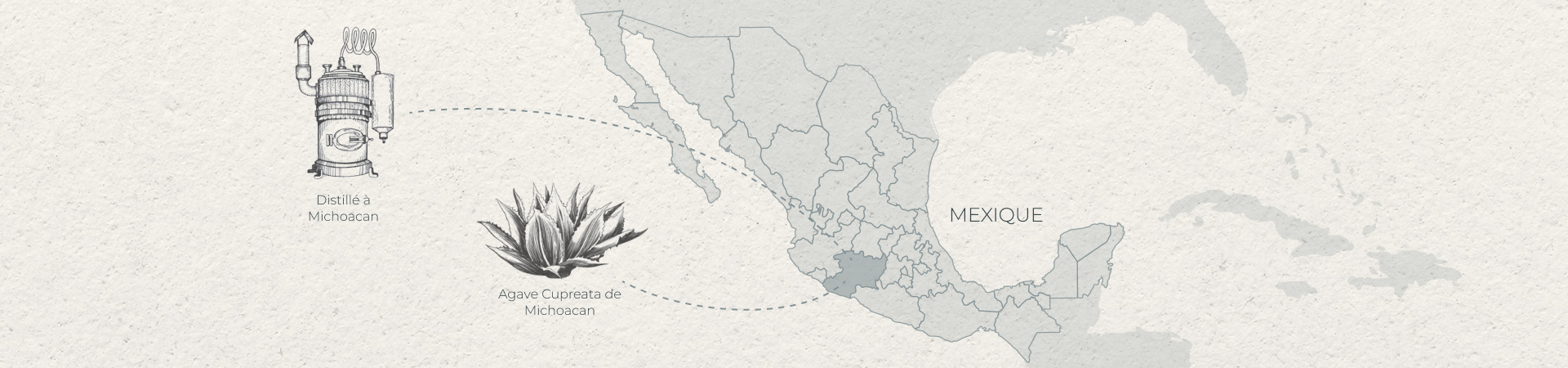FR Agave Cupreata from Michoacan Distilled in Michoacan